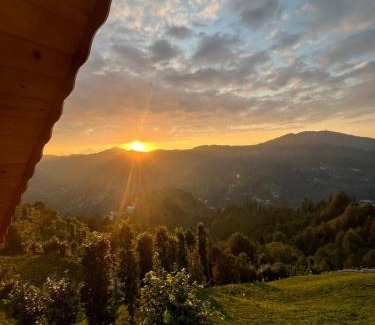 Ayder Ski Chalet | Pisa Villa&Bungalov
