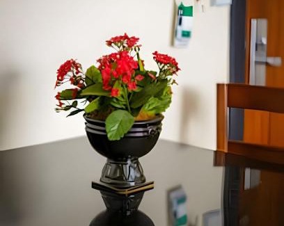 Bigorrilho Apartment | Piscina, Academia, Vaga Garagem, Petfriendly