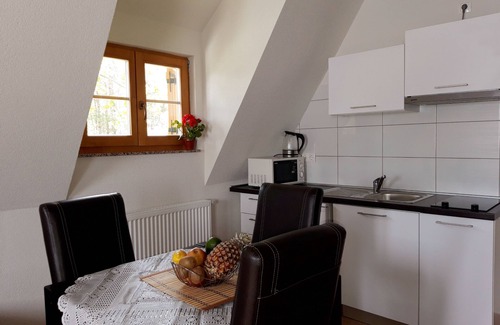 Rudanovac Apartment | Plitvice Lakes Studio apartment with great mountain view