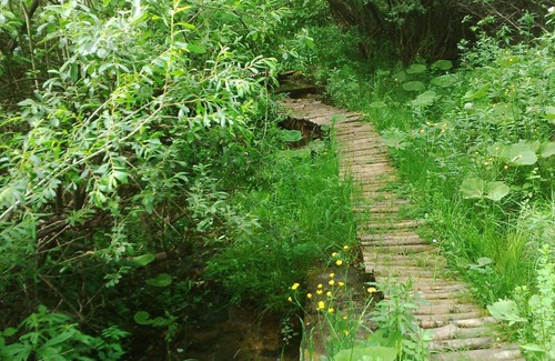 Rudanovac Apartment | Plitvice Lakes Studio apartment with great mountain view