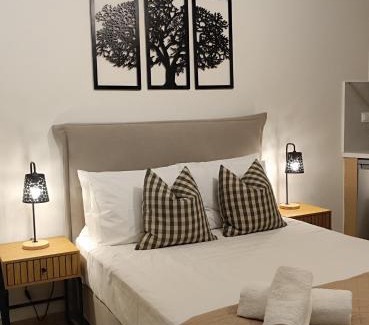 Spilion Apartment | Platanos View Studio