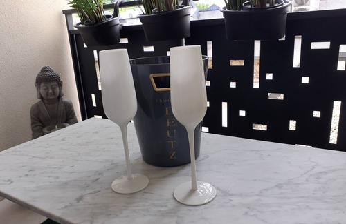 Albi Apartment | Pleasant and comfortable T2 apartment Albi city with secure private parking.