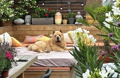 Historic Center Apartment | Plein Centre Historique Grand Appartement 160 m2 Rooftop au Calme