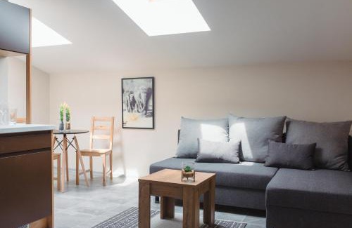 Czestochowa Apartment | Pod Jasną 28