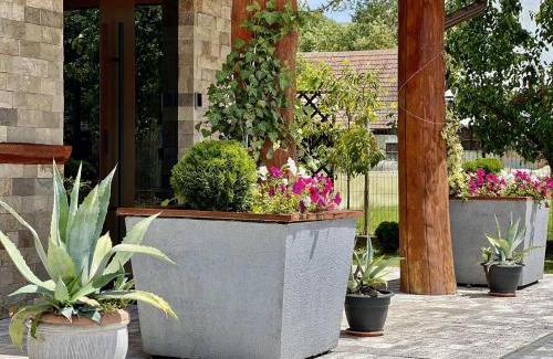 Bialy Dunajec Apartment | Pod Sosnami Termy 450m -20 procent na Termy