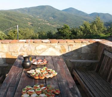 Castelnuovo di Val di Cecina Apartment | Podere Lama