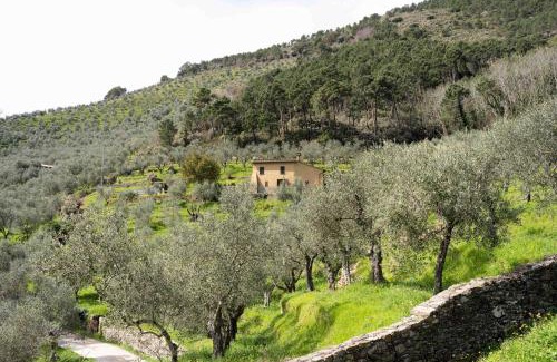 Calci House | Podere del Pari