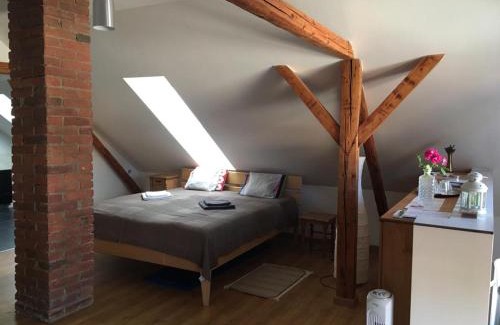Svinarov House | Podkroví s koupelnou