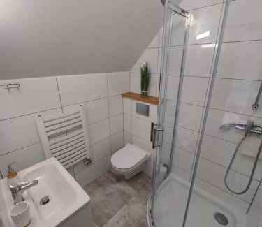 Kroscienko nad Dunajcem Apartment | Pokój studio z balkonem