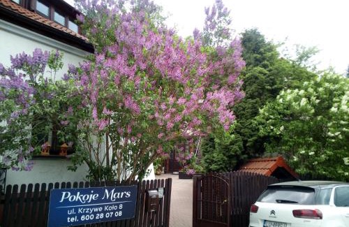 Kazimierz Dolny House | Pokoje Mars