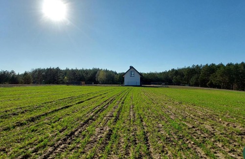 Grzybowo House | Polana Grzybowo domek na Kaszubach