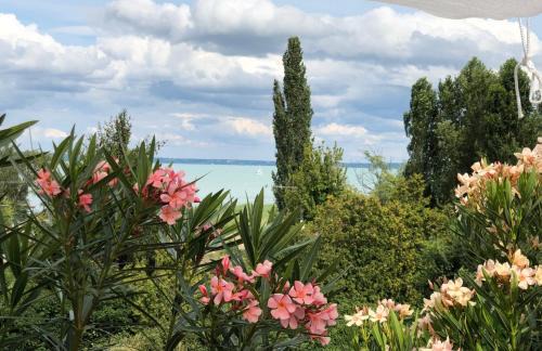 Balatonalmadi Apartment | Polaris Yacht Apartman