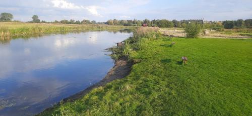 Goniadz Other | POLE NAMIOTOWE nad rzeką BIEBRZA w GONIĄDZU