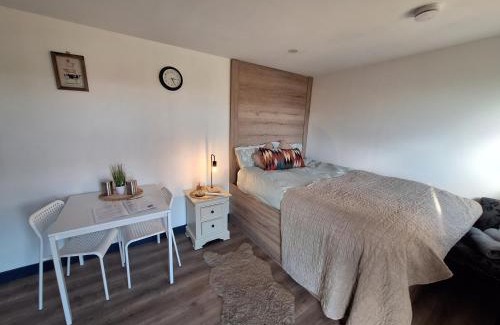 County Laois Cabin | Pond residence Pine 2ppl Adults only