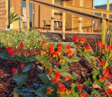 County Laois Cabin | Pond residence Pine 2ppl Adults only