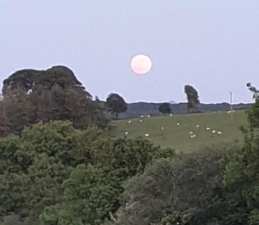 Brazzacott Ski Chalet | Pondside Cabin