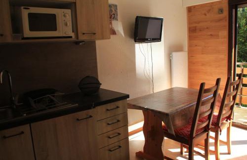 Chatel Apartment | Portes Du Soleil PSA46 TELECABINE & MOUNTAIN 4 Per