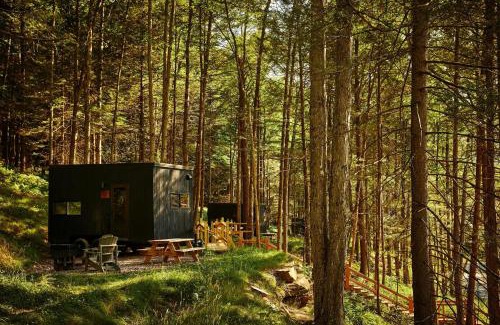 French Village Other | Postcard Cabins St Francois, Outdoor Collection by Marriott Bonvoy