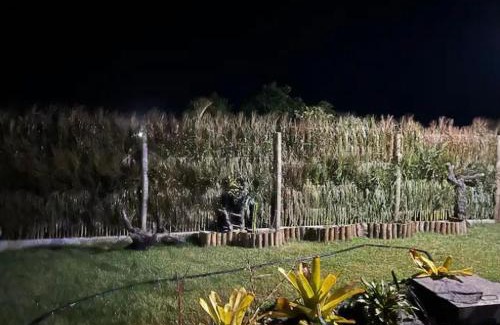 Porto Seguro House | Pousada coisa linda caraiva