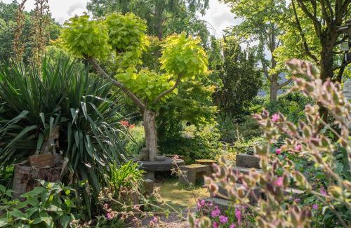 Hansweert House | Prachtig genieten in het groen met royale tuin