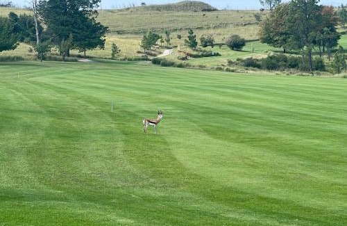 Katberg Apartment | Precious, Peaceful 3bedroom, 6 sleeper family home!