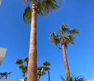 Primosten Apartment | Primosten Resort Sunhill P1-S5