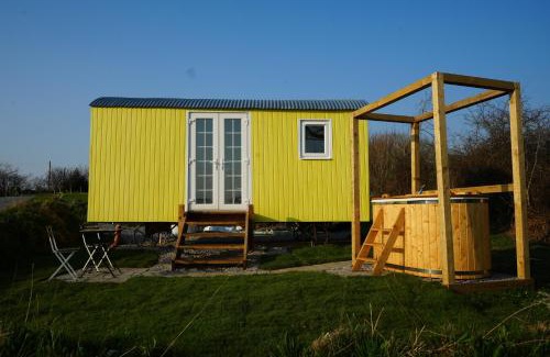 Kilgetty House | Primrose