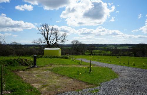 Kilgetty House | Primrose