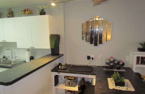 Eau Claire Condo | Prince's Crossing - Executive Furnished Two Bedroom Condo