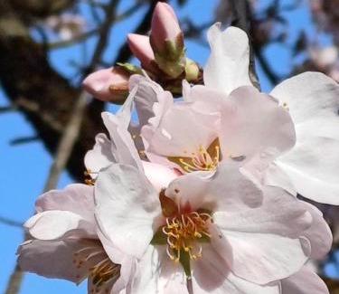 La Vilella Baixa House | PRIORAT Ca la Iolanda "RELAX ESCALADA Y NATURALEZA"