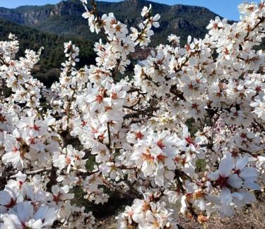 La Vilella Baixa House | PRIORAT Ca la Iolanda "RELAX ESCALADA Y NATURALEZA"