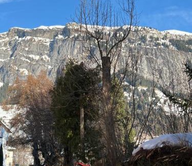 Flims Bed & Breakfast | Privat Bed and Breakfast in Flims Waldhaus