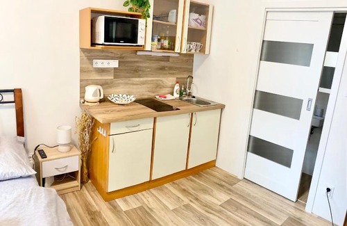 Olomouc Apartment | Private apartment - Park Olomouc - super lokalita