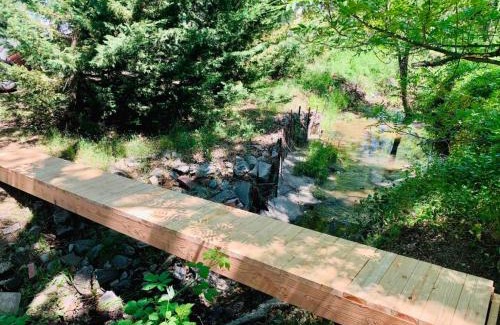 Soulsbyville House | Private Backyard Firepit Hammock BBQ Grill