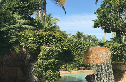 Estero Resort | PRIVATE BEACH ISLAND ACCESS, Coconut Plantation Resort 2-Bedroom + Amenities