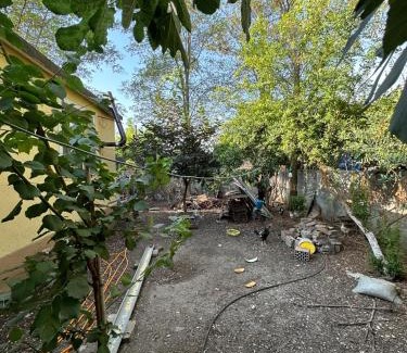 Sheqi i Vogel Apartment | Private house surrounded by greenery