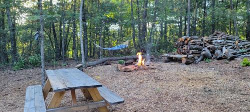 Lenoir Other | Private place for rest in the forest Tent 1 Forrest Cump
