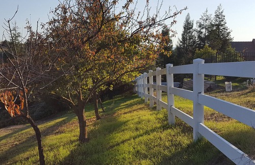 Paso Robles House | Private & Relaxing with Pool. Great location Close To Wineries & Downtown Fun.