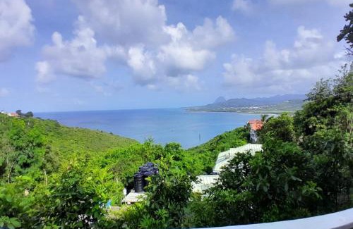 Vieux Fort House | Private Room with Twin Beds AC nr Intl Airpt and Beach