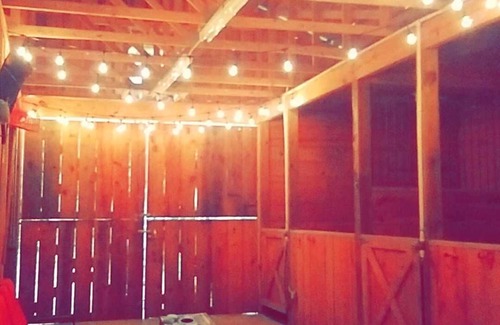 Toccoa Apartment | Private Setting Studio Apartment