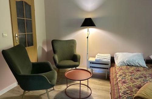 Naleczow Apartment | Przy Ochronce Żeromskiego