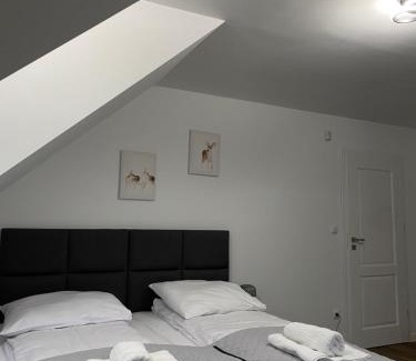 Płaska House | Przystanek Orle