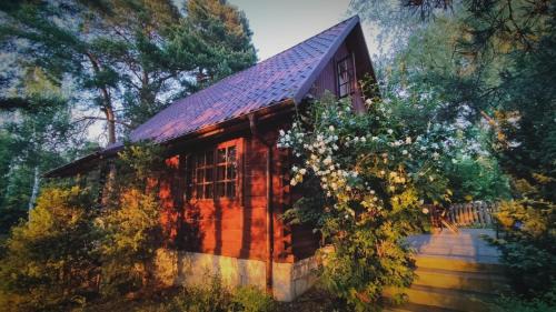 Gorniki House | Przytulia - chata na bezdrożach Roztocza