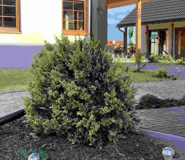 Mikolajki Resort | Ptasie Siedlisko