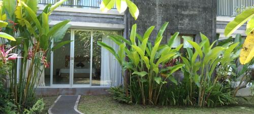 Mas Other | purnama fullmoon resort