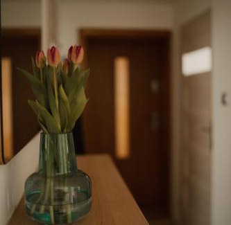 Mragowo Apartment | PW Apartamenty