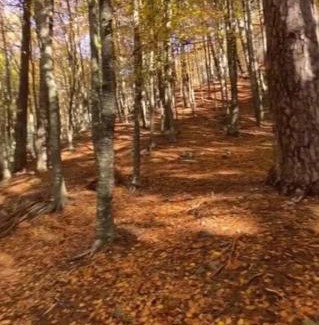 Cudhi Bed & Breakfast | Qafeshtama Guesthouse