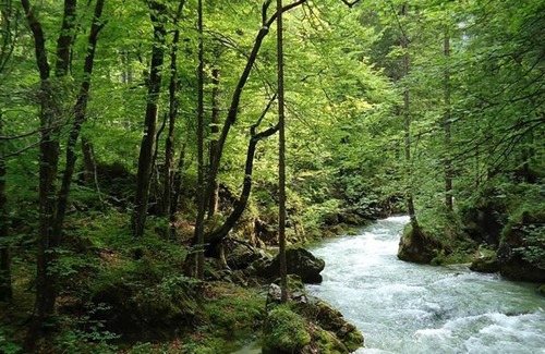 Golling an der Salzach Apartment | Quadruple room with shower, WC - Pension Seiwald