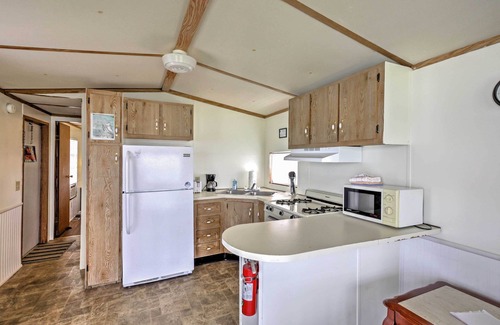 Silver Springs Cabin | Quaint Silver Springs Cabin w/Direct Lake Access!