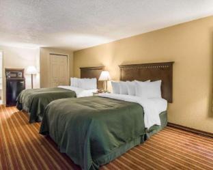 Disston Heights Hotel | Quality Inn & Suites at Tropicana Field